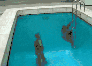 pool party gifs