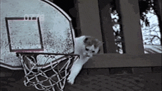 26 Random Gifs For Your Viewing Pleasure