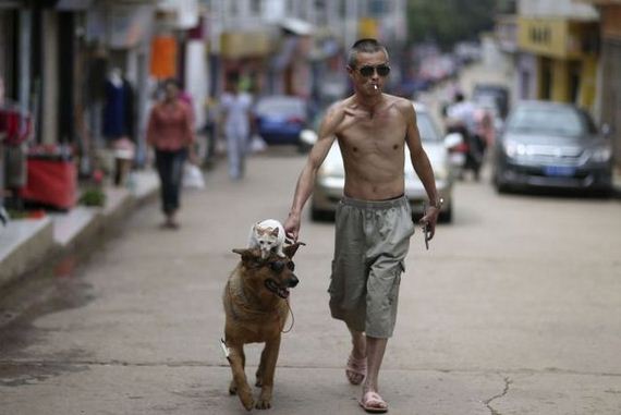 man walks dog in china