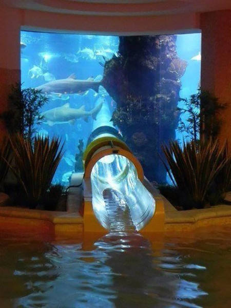 random aquarium waterslide