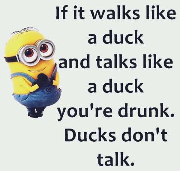 human behavior - If it walks a duck and talks a duck you're drunk. Ducks don't talk.