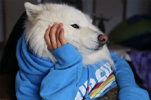 21 Awesome GIFs For Your Viewing Pleasure