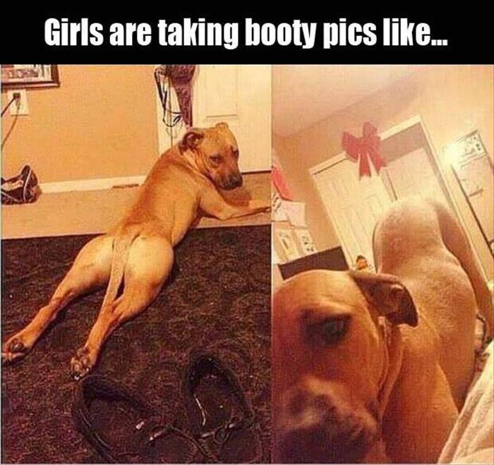 photo caption - Girls are taking booty pics ...