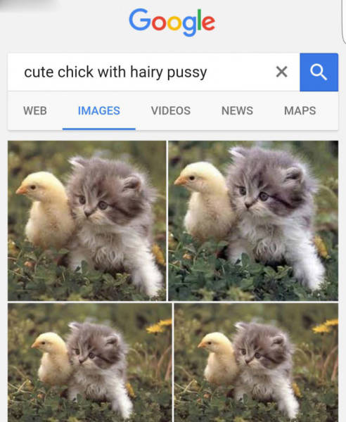 cute chicken with haire pussi - Google cute chick with hairy pussy Web Images Videos News Maps