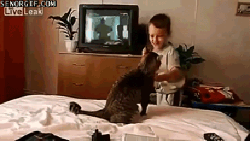 cat and kid gif