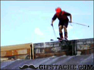 could go wrong gifs - Gifstache.Com