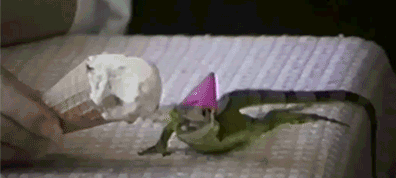 happy birthday lizard gif