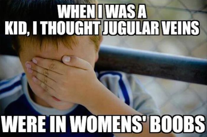 cool pic quicksand meme - When I Was A Kid, I Thought Jugular Veins Were In Womens"Boobs