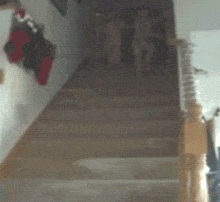 31 Awesome GIFs For a Great Day