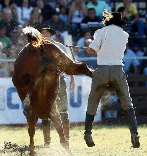 horse kicking person