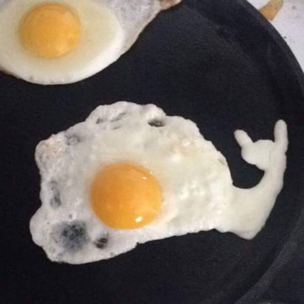 30 Awesome Pics For a Fun Morning