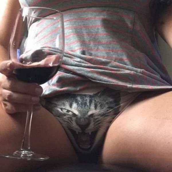 31 Awesome Pics For a Fun Morning