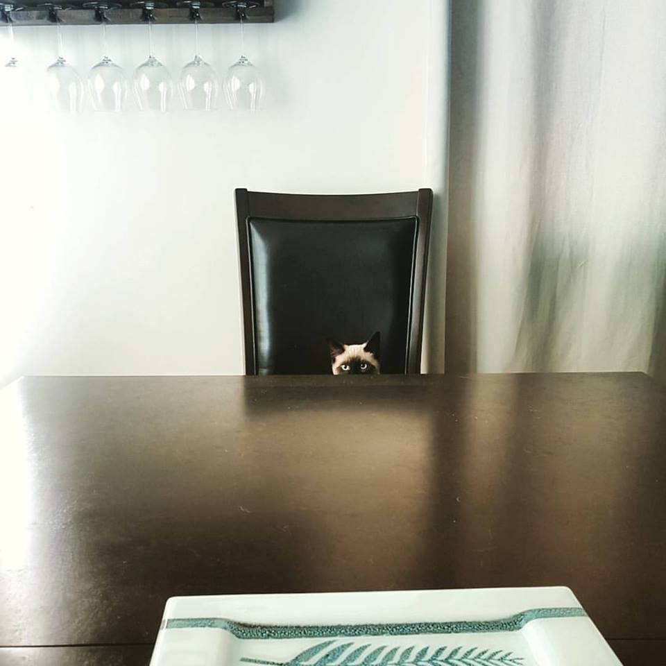 31 Awesome Pics For a Fun Morning