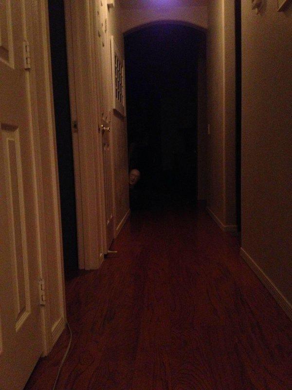 31 Awesome Pics For a Fun Morning