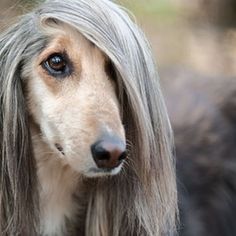 36 Awesome Pics For Your Viewing Pleasure