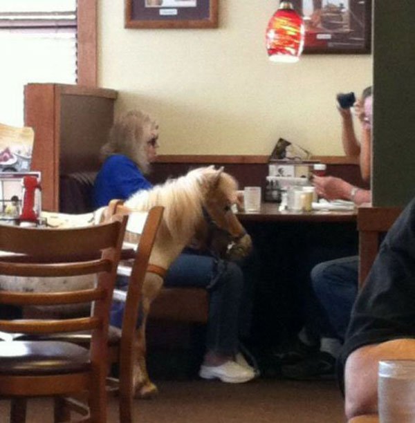 36 Awesome Pics For Your Viewing Pleasure