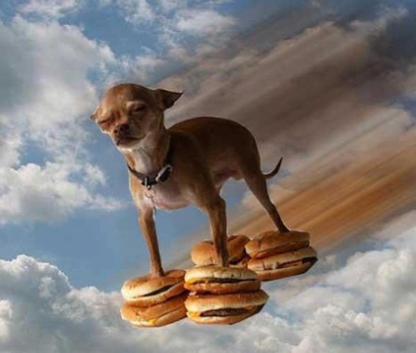 36 Awesome Pics For Your Viewing Pleasure