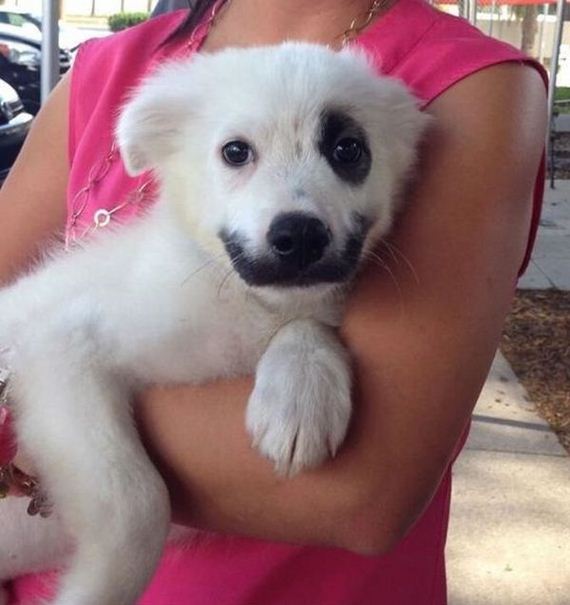 36 Awesome Pics For Your Viewing Pleasure