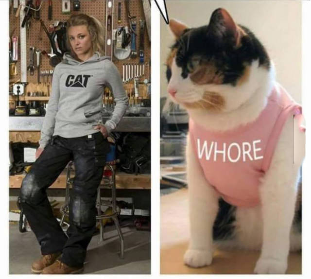 cat whore - Pat Whore