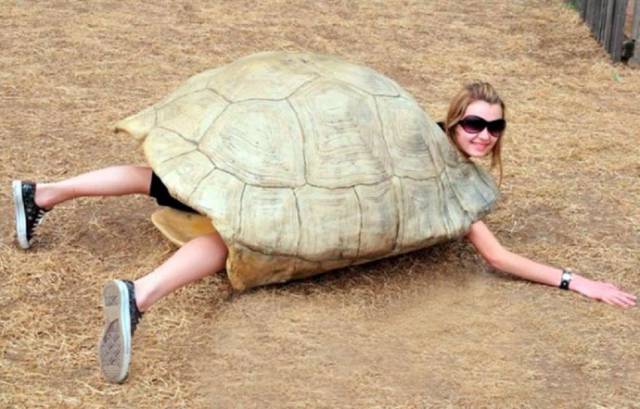 girl inside a fake turtle