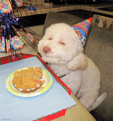 19 Awesome GIFs For a Great Day