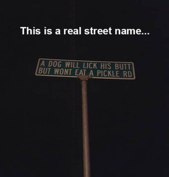 sign - This is a real street name... A Dog Will Lick His Butt But Wont Eat A Pickle Rd
