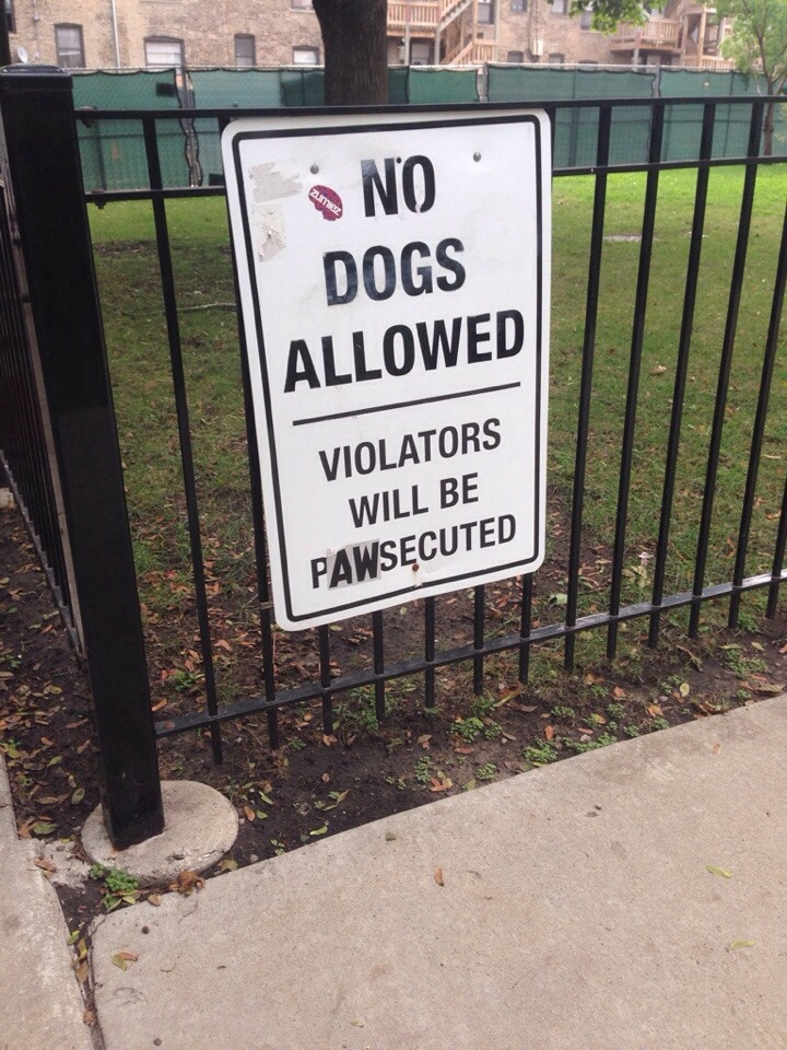 funny no dogs allowed signs - No Dogs Allowed Violators Will Be Pawsecuted