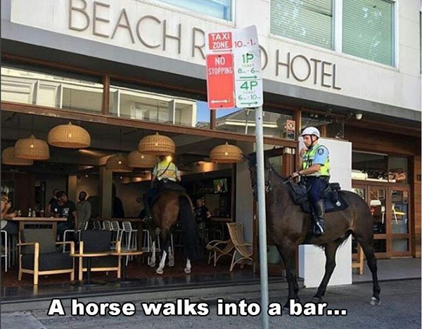 horse - Beach Real Ed Hotel Taxi Zone 10.1 No 15 Stopping B 6 Hiddel A horse walks into a bar...