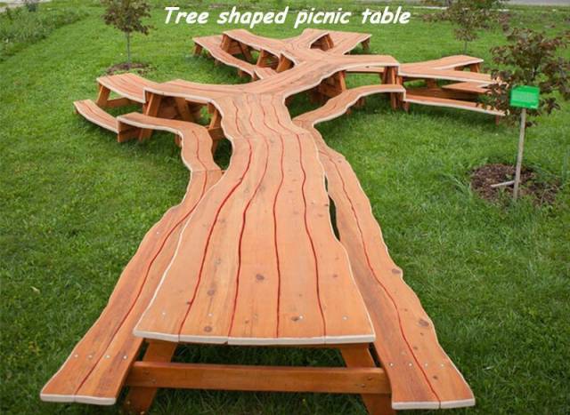 cool pic tree shaped picnic table - Tree shaped picnic table