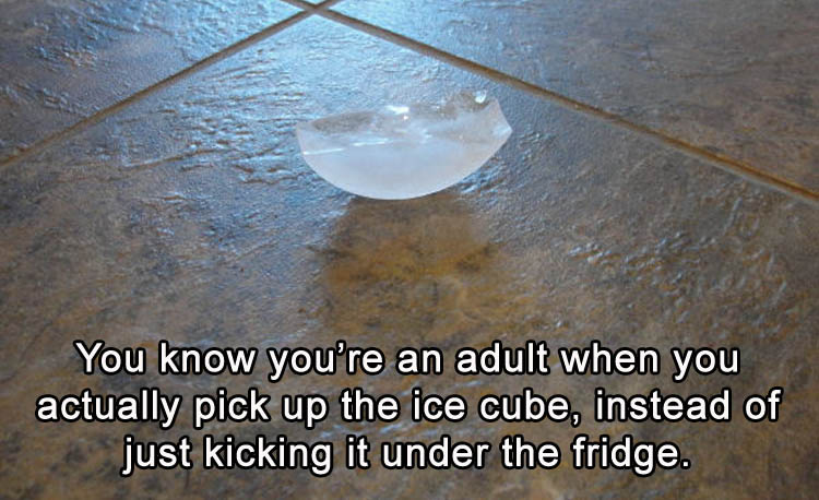 kick it under the fridge - You know you're an adult when you actually pick up the ice cube, instead of just kicking it under the fridge.