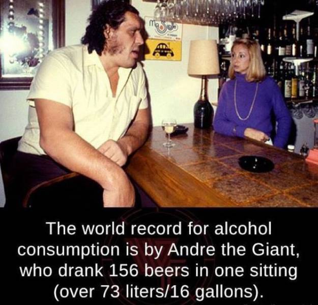 andre the giant drinking record - moooo Ieel The world record for alcohol consumption is by Andre the Giant, who drank 156 beers in one sitting over 73 liters16 gallons.
