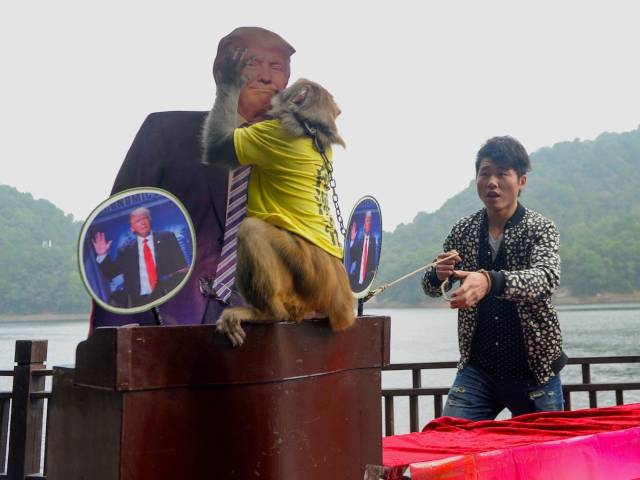 donald trump kissing a monkey