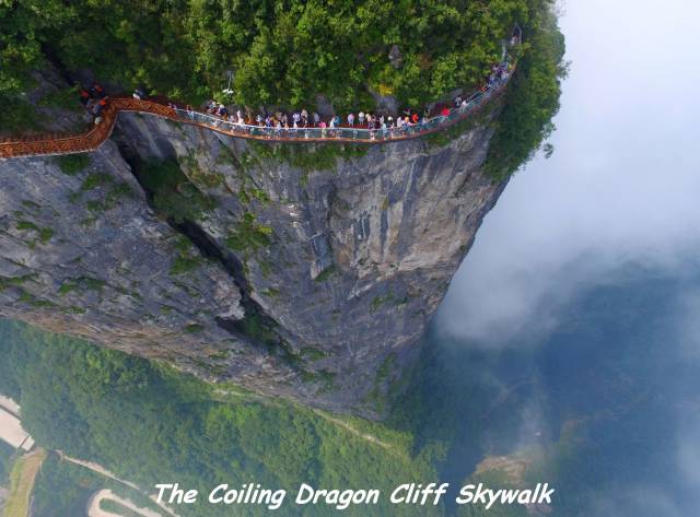 cool will earth be like in 100 years - The Coiling Dragon Cliff Skywalk