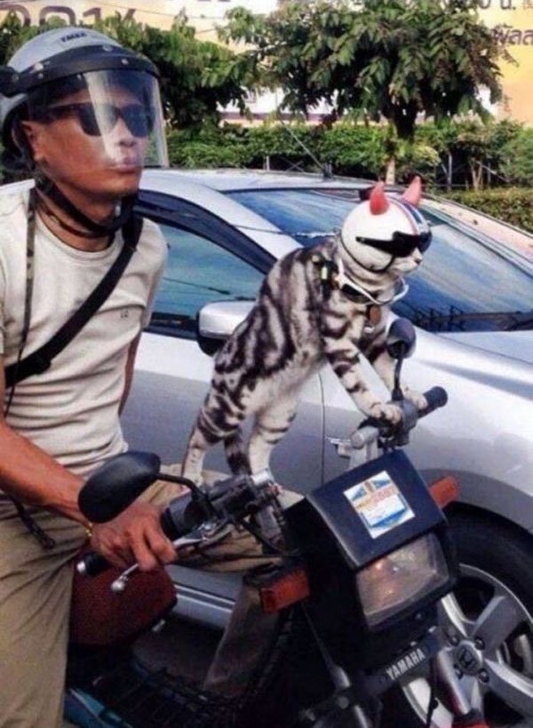 35 Awesome Pics For Your Viewing Pleasure