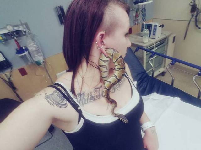 random snake stuck in ear