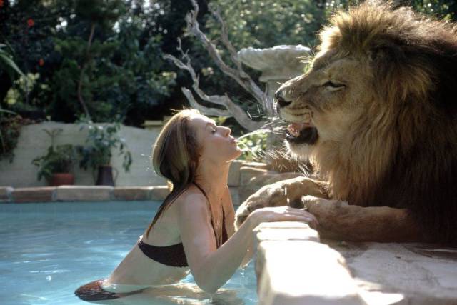 tippi hedren lion