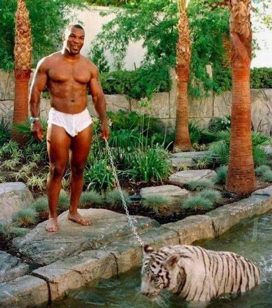 mike tyson in underwear with tiger