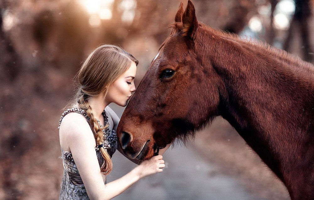 high quality horse with girl kiss