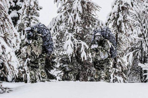 Very well camouflaged men hiding behind snowy trees.