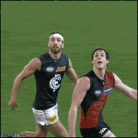 funny catch gif
