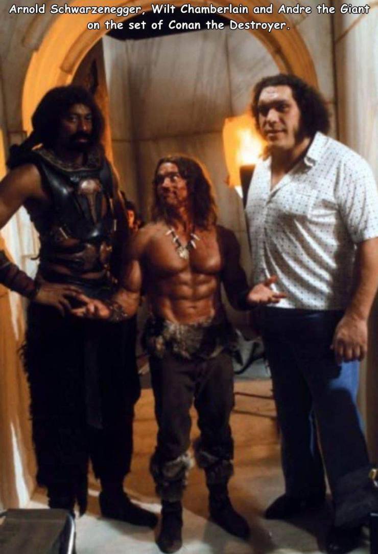 random pics - arnold schwarzenegger andre the giant - Arnold Schwarzenegger, Wilt Chamberlain and Andre the Giant on the set of Conan the Destroyer.