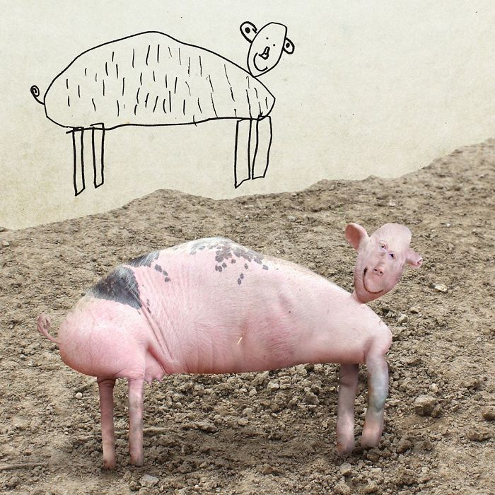 dad turns kids drawing into real animals