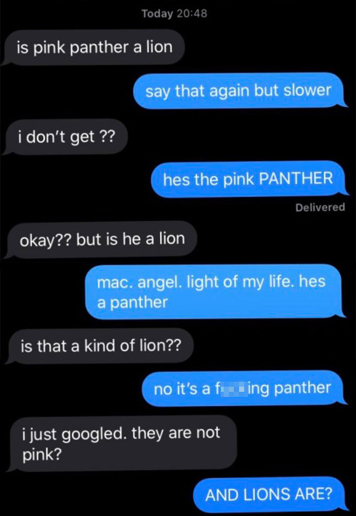 is pink panther a lion say that again but slower i don't get ?? hes the pink Panther okay?? but is he a lion mac. angel. light of my life. hes a panther is that a kind of lion?? no it's a fucking panther i just googled it