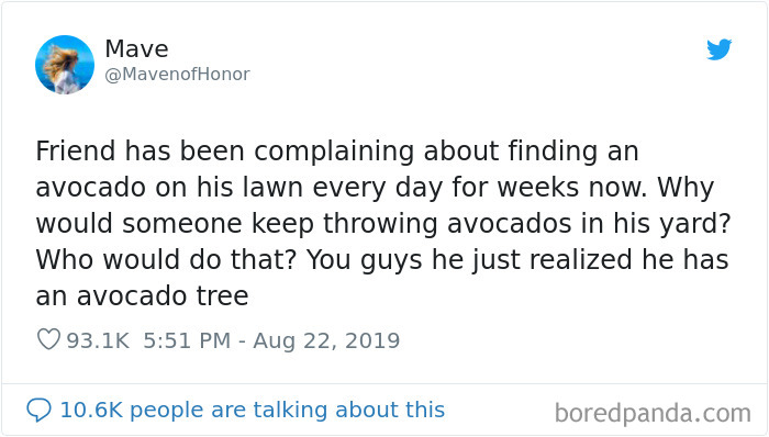 Friend has been complaining about finding an avocado on his lawn every day for weeks now. Why would someone keep throwing avocados in his yard? Who would do that? You guys he just realized he has an avocado tree