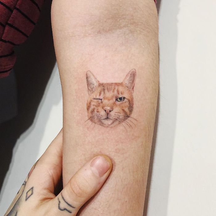 30 Cool Cat Tattoos Every Cat Owner Would Be Jealous Of