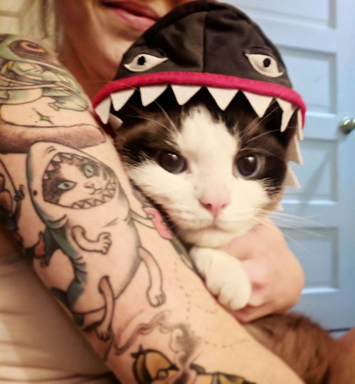 30 Cool Cat Tattoos Every Cat Owner Would Be Jealous Of