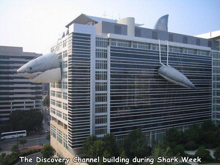 discovery channel building during shark week - The Discovery Channel building during Shark Week