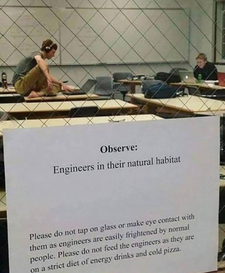 engineers in their natural habitat - Observe Engineers in their natural habitat Please do not tap on glass or make eye contact with them as engineers are easily frightened by normal people. Please do not feed the engineers as they are on a strict diet of 