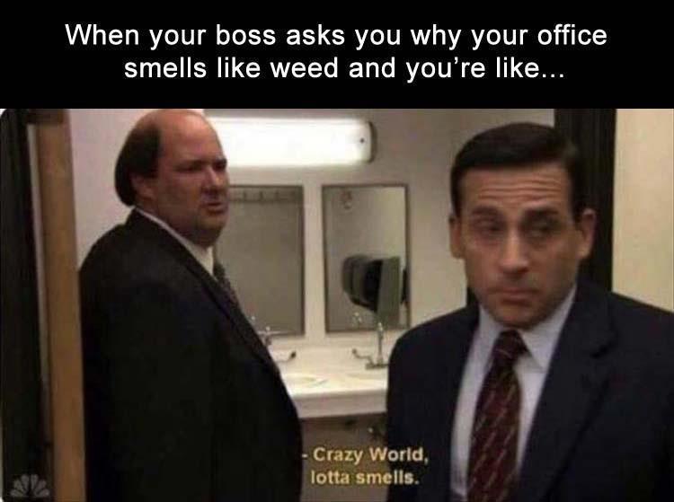 office memes - When your boss asks you why your office smells weed and you're ... Crazy World, lotta smells.