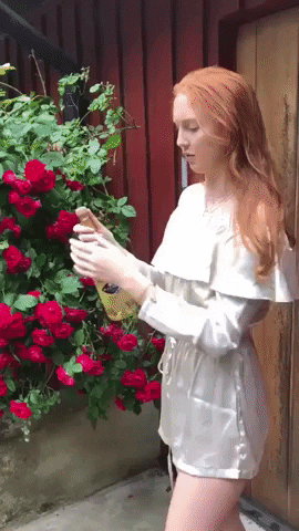 woman opening champagne bottle and she drops it and it explodes on her gif
